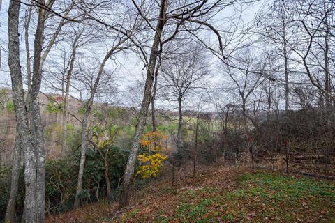 325 Thompson Rd SE, Floyd, VA 24091 photo 35