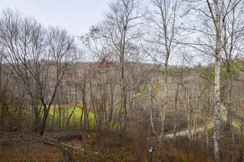 325 Thompson Rd SE, Floyd, VA 24091 photo 37
