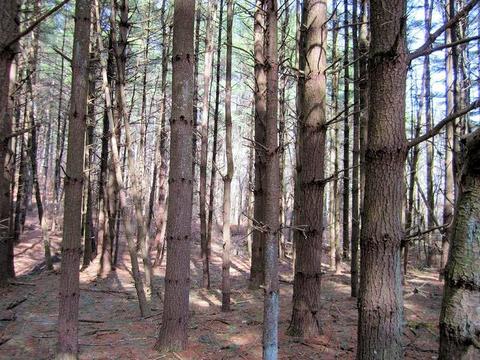 4051 Sunflower Rd, Pilot, VA 24138 photo 56