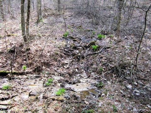 4051 Sunflower Rd, Pilot, VA 24138 photo 43
