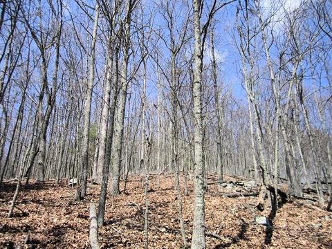 4051 Sunflower Rd, Pilot, VA 24138 photo 62