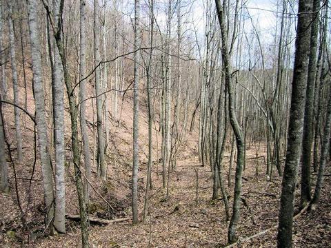 4051 Sunflower Rd, Pilot, VA 24138 photo 60