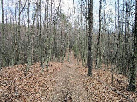 4051 Sunflower Rd, Pilot, VA 24138 photo 58