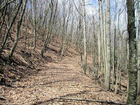 4051 Sunflower Rd, Pilot, VA 24138 photo 59