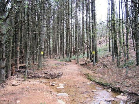 4051 Sunflower Rd, Pilot, VA 24138 photo 41
