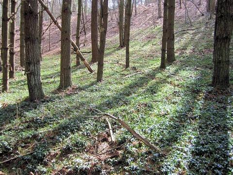 4051 Sunflower Rd, Pilot, VA 24138 photo 39