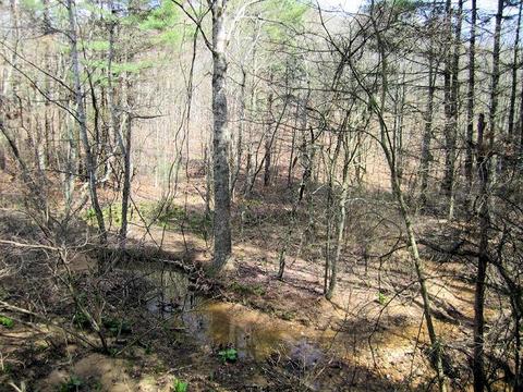 4051 Sunflower Rd, Pilot, VA 24138 photo 42