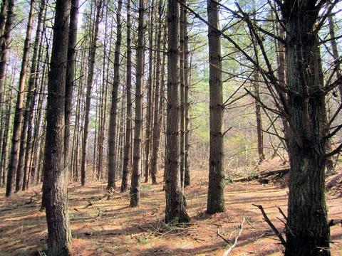 4051 Sunflower Rd, Pilot, VA 24138 photo 55