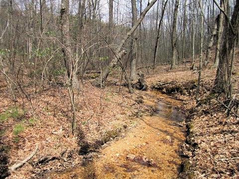 4051 Sunflower Rd, Pilot, VA 24138 photo 44