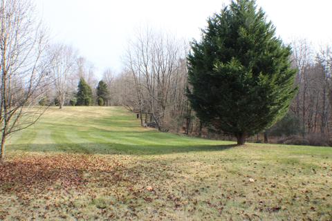 102 Cherokee Ln, Thaxton, VA 24174 photo 6