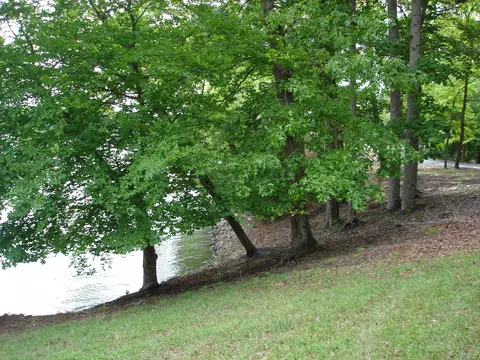 111 Highview Dr, Moneta, VA 24121 photo 23