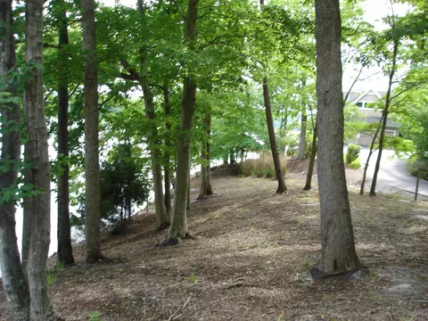 111 Highview Dr, Moneta, VA 24121 photo 19