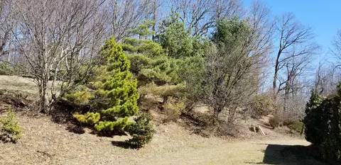 9237 Patterson Dr, Bent Mountain, VA 24059 photo 102