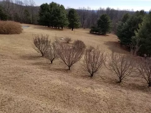 9237 Patterson Dr, Bent Mountain, VA 24059 photo 87