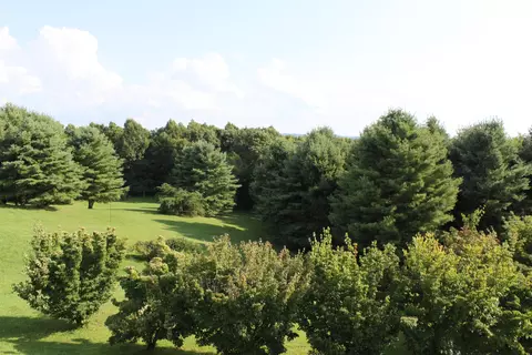 9237 Patterson Dr, Bent Mountain, VA 24059 photo 88