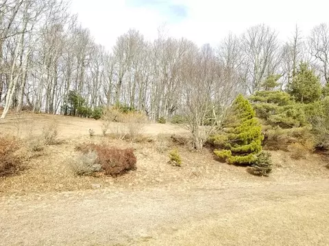 9237 Patterson Dr, Bent Mountain, VA 24059 photo 22