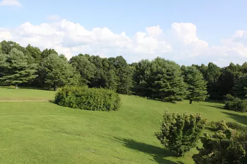 9237 Patterson Dr, Bent Mountain, VA 24059 photo 89