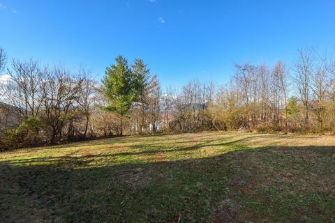 302 E Augusta Ave, Vinton, VA 24179 photo 20