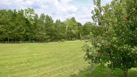 2365 Lipscomb Rd, Moneta, VA 24121 photo 57