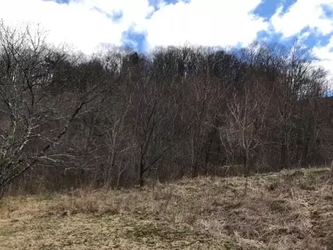 3108 Jamison Mountain Rd, Covington, VA 24426 photo 7