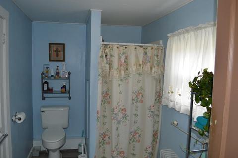 206 Bridge St S, Buchanan, VA 24066 photo 9