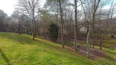 293 Fox Fire, Cloverdale, VA 24077 photo 7