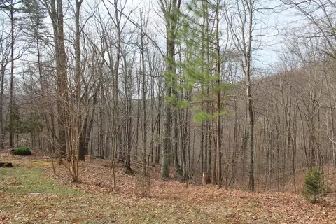 125 Ridgway Rd, Hardy, VA 24101 photo 2