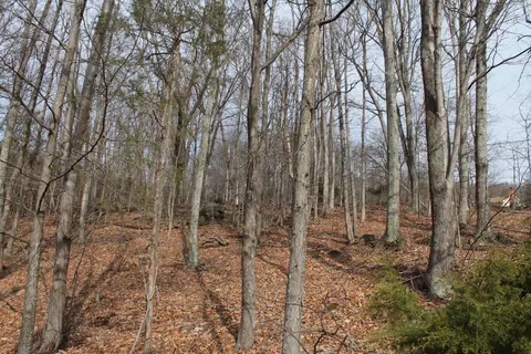 125 Ridgway Rd, Hardy, VA 24101 photo 3