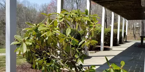 70 Windtree Dr, Moneta, VA 24121 photo 50