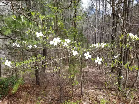 400 Old Mountain Rd, Penhook, VA 24137 photo 14
