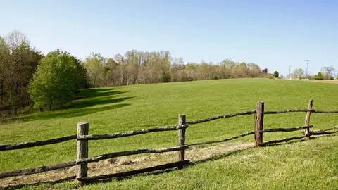 1229 Trails End Rd, Goodview, VA 24095 photo 93