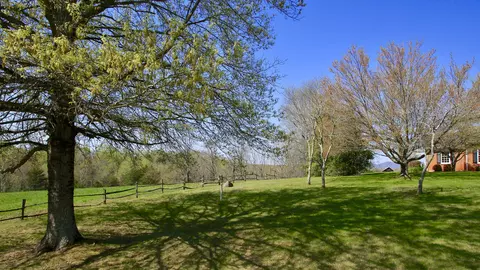 1229 Trails End Rd, Goodview, VA 24095 photo 23