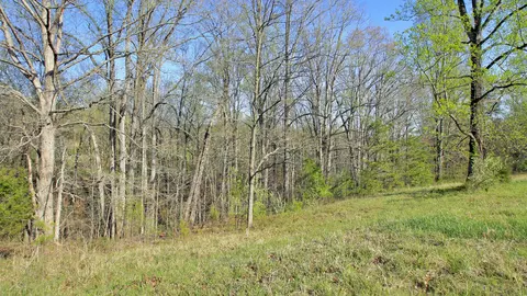 1229 Trails End Rd, Goodview, VA 24095 photo 99