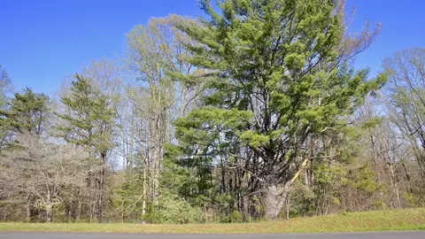 1229 Trails End Rd, Goodview, VA 24095 photo 96