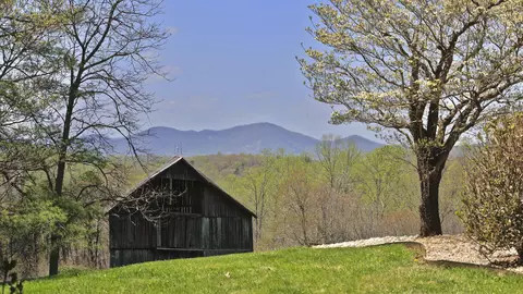 1229 Trails End Rd, Goodview, VA 24095 photo 6