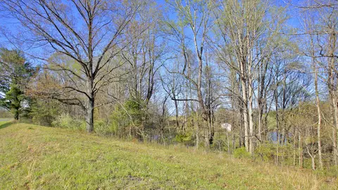 1229 Trails End Rd, Goodview, VA 24095 photo 98