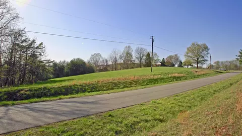 1229 Trails End Rd, Goodview, VA 24095 photo 100