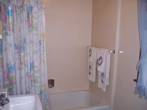 233 W Parrish St, Covington, VA 24426 photo 10