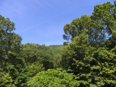 202 Cascade Dr, Vinton, VA 24179 photo 29