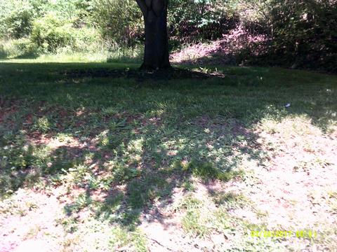 6529 Circleview Dr, Roanoke, VA 24014 photo 5