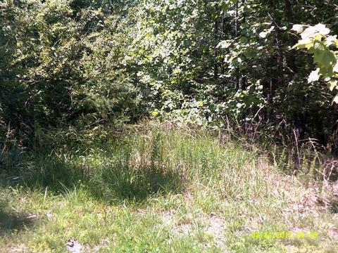 6529 Circleview Dr, Roanoke, VA 24014 photo 6