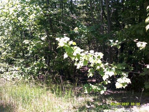 6529 Circleview Dr, Roanoke, VA 24014 photo 7