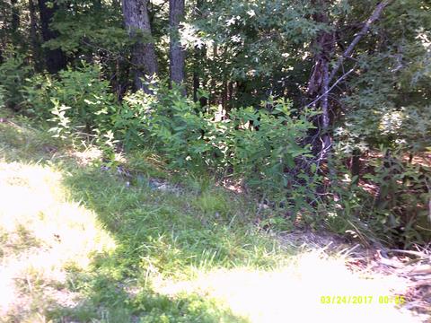 6529 Circleview Dr, Roanoke, VA 24014 photo 9