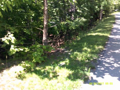 6529 Circleview Dr, Roanoke, VA 24014 photo 8