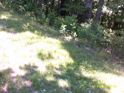 6529 Circleview Dr, Roanoke, VA 24014 photo 10