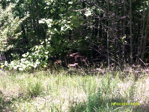 6529 Circleview Dr, Roanoke, VA 24014 photo 14