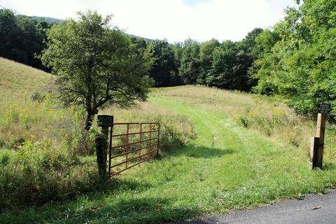 2809 Jamison Mountain Rd, Covington, VA 24426 photo 3