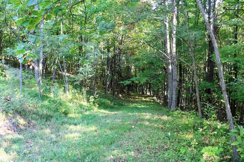 2809 Jamison Mountain Rd, Covington, VA 24426 photo 6