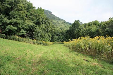 2809 Jamison Mountain Rd, Covington, VA 24426 photo 5