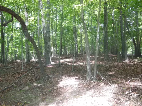 4750 Smith Mountain Rd, Penhook, VA 24137 photo 2